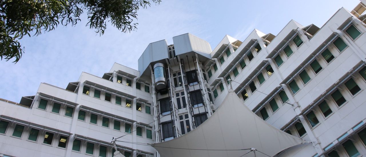 Head Office